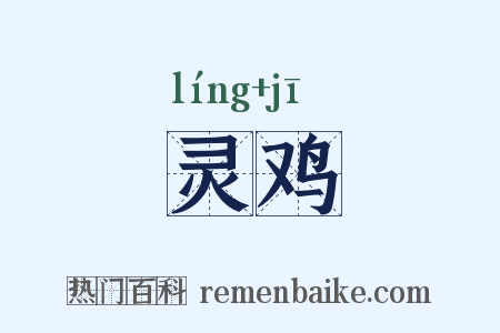 灵鸡是什么意思的图片